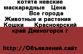 котята невские маскарадные › Цена ­ 18 000 - Все города Животные и растения » Кошки   . Красноярский край,Дивногорск г.